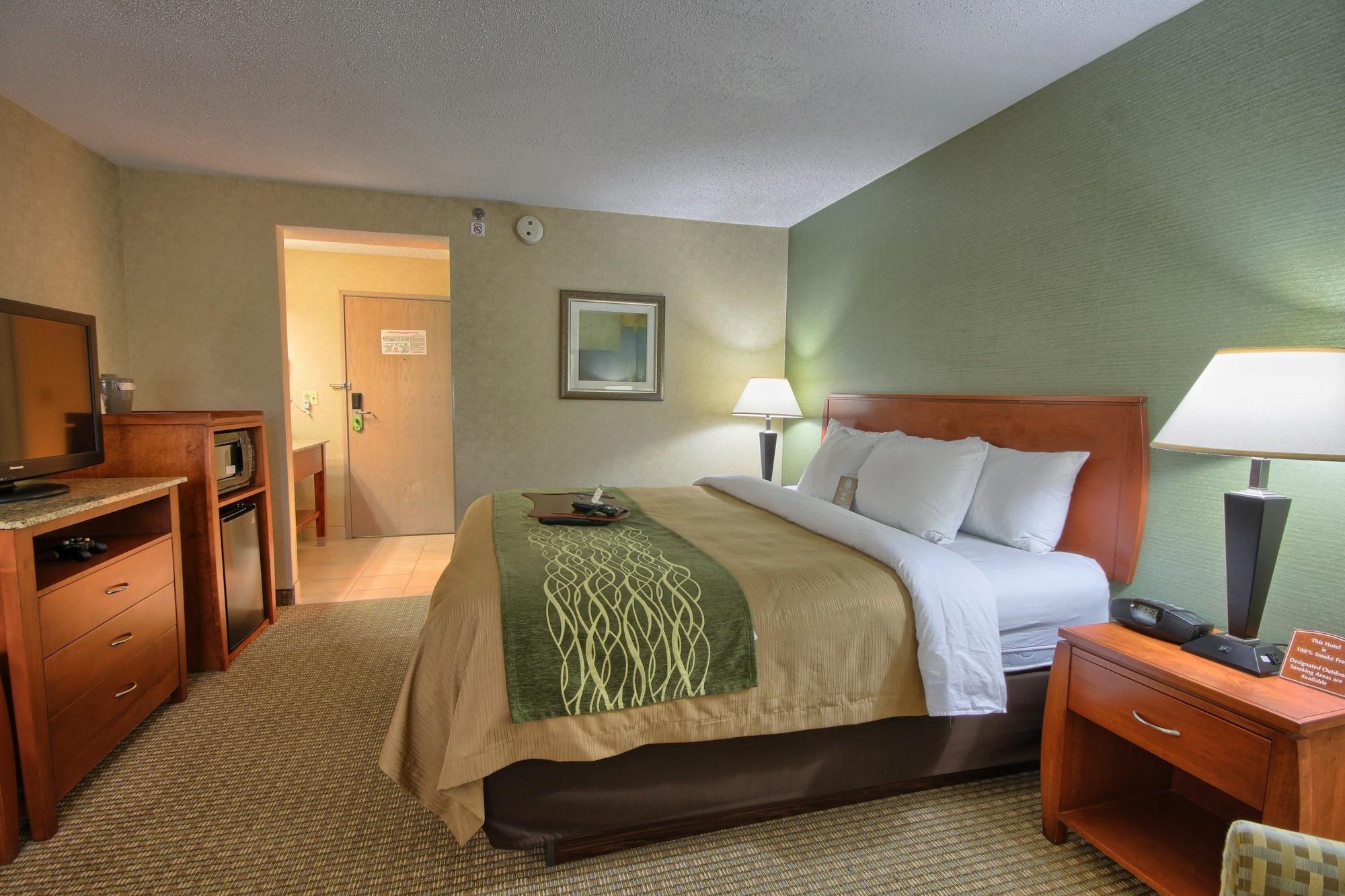 Comfort Inn Near Greenfield Village Dearborn Exteriér fotografie