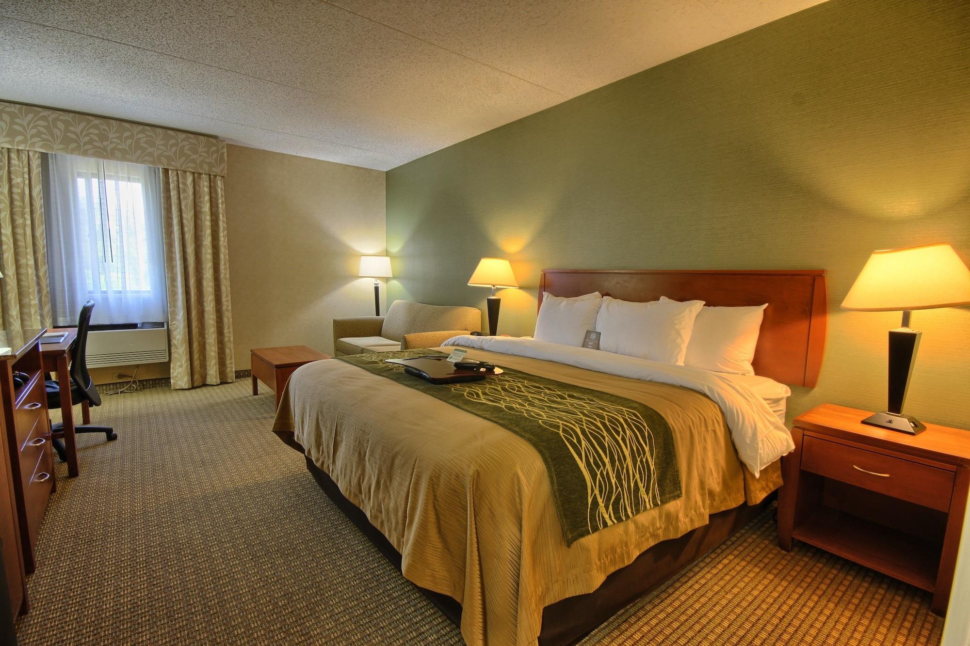 Comfort Inn Near Greenfield Village Dearborn Exteriér fotografie